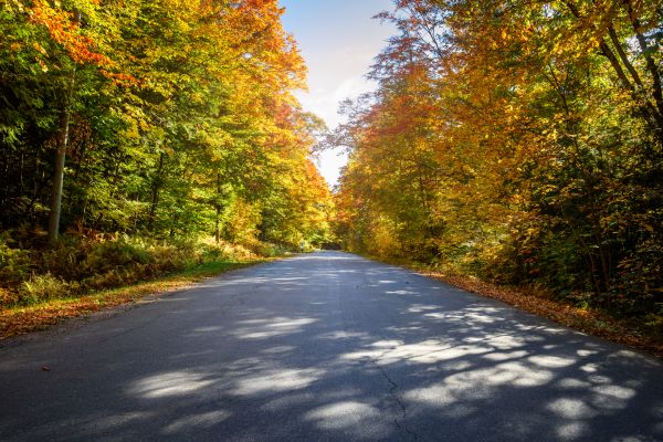 Blacktop Replacement in Roanoke