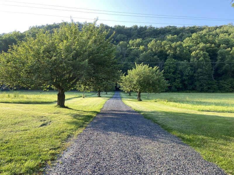 Asphalt Driveway Grinding