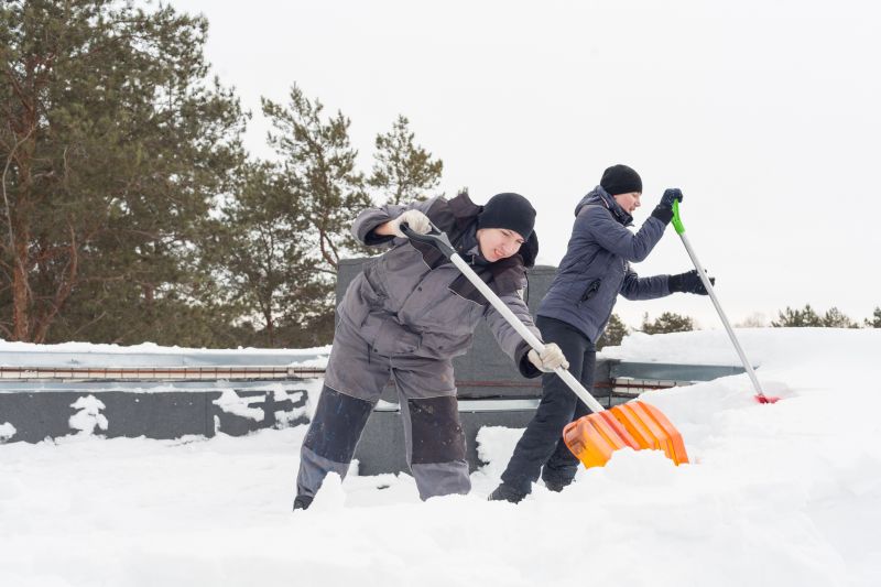 Winter Precautions